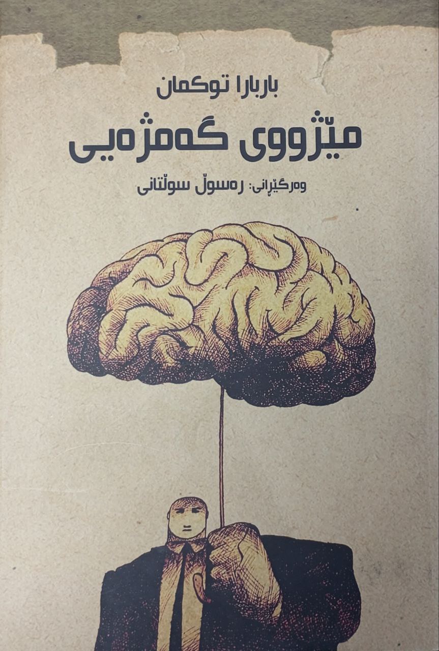 مێژووی گەمژەیی